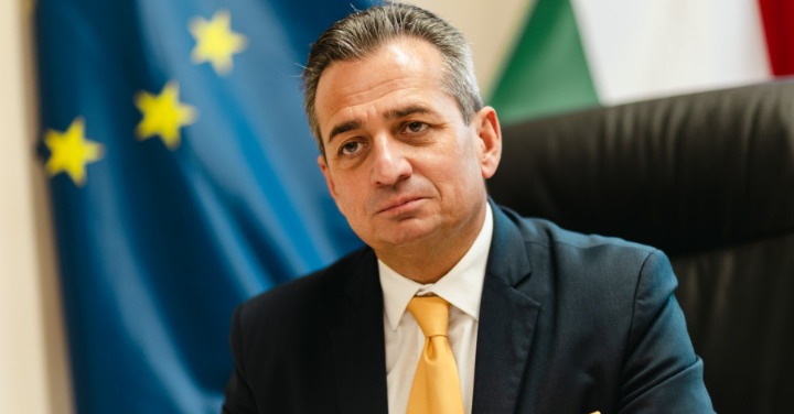 Viharos vizeken, de biztos navigátorral hajóznak a veszprémi vállalkozások