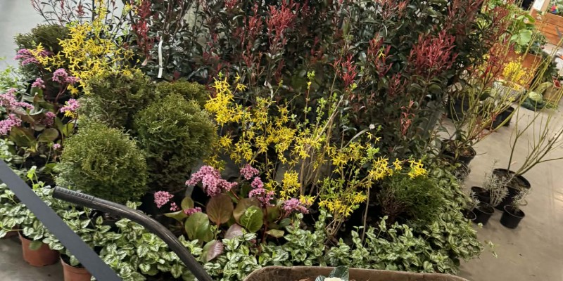 att.TZrwjMSoTAAhAYxPYLwlpmqASqJAT7k39nbF1w9TyAY